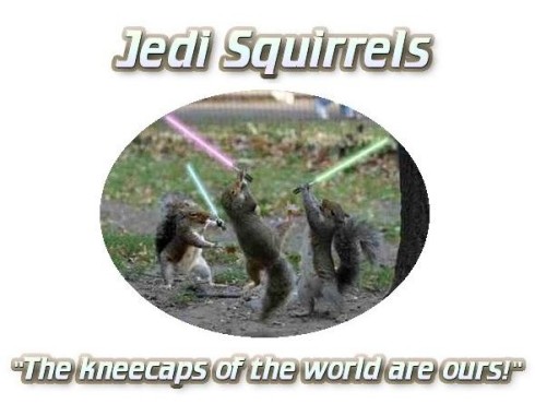 Jedi Squirrels unite!